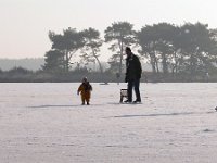 NL, Noord-Brabant, Heeze-Leende, Klein Kraanven in Groote Heide 5, Saxifraga-Tom Heijnen