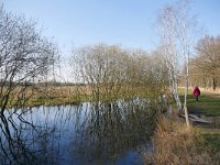 NL, Noord-Brabant, Heeze-Leende, Patersgronden 8, Saxifraga-Tom Heijnen