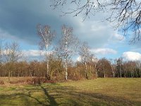 NL, Noord-Brabant, Heeze-Leende, Patersgronden 9, Saxifraga-Tom Heijnen