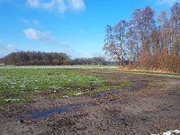 NL, Noord-Brabant, Heeze-Leende, Riesten 1, Saxifraga-Tom Heijnen