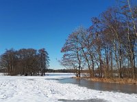 NL, Noord-Brabant, Heeze-Leende, Riesten 3, Saxifraga-Tom Heijnen