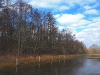 NL, Noord-Brabant, Heeze-Leende, Rulse Dijk 2, Saxifraga-Tom Heijnen