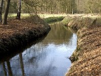 NL, Noord-Brabant, Heeze-Leende, Sterkselsche Aa, Herbertusbossen 4, Saxifraga-Jan van der Straaten