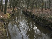 NL, Noord-Brabant, Heeze-Leende, Sterkselsche Aa, Kasteel Heeze 3, Saxifraga-Jan van der Straaten