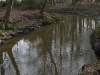 NL, Noord-Brabant, Heeze-Leende, Sterkselsche Aa, Kasteel Heeze 4, Saxifraga-Jan van der Straaten