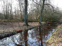 NL, Noord-Brabant, Heeze-Leende, Strijperheg 2, Saxifraga-Tom Heijnen