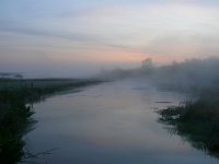 NL, Noord-Brabant, Heeze-Leende, Tongelreep in Patersgronden 1, Saxifraga-Tom Heijnen