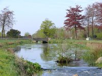 NL, Noord-Brabant, Heeze-Leende, Tongelreep in Patersgronden 3, Saxifraga-Tom Heijnen