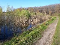 NL, Noord-Brabant, Heeze-Leende, Viskwekerij Driebruggen 1, Saxifraga-Tom Heijnen