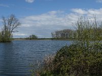 NL, Noord-Brabant, Heusden, Haarsteegs Wiel 13, Saxifraga-Jan van der Straaten