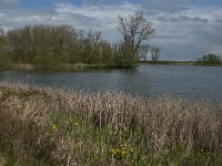 NL, Noord-Brabant, Heusden, Haarsteegs Wiel 26, Saxifraga-Jan van der Straaten