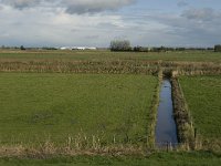 NL, Noord-Brabant, Heusden, Hedikhuizensche Maas 1, Saxifraga-Jan van der Straaten