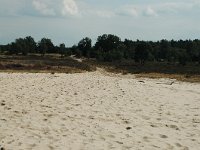 NL, Noord-Brabant, Heusden, Loonse en Drunense Duinen 1, Saxifraga-Jaap Bouwman