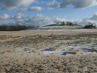 NL, Noord-Brabant, Heusden, Loonse en Drunense Duinen 114, Saxifraga-Willem van Kruijsbergen