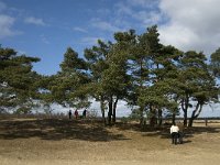 NL, Noord-Brabant, Heusden, Loonse en Drunense Duinen 155, Saxifraga-Jan van der Straaten