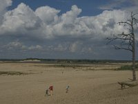 NL, Noord-Brabant, Heusden, Loonse en Drunense Duinen 6, Saxifraga-Marijke Verhagen