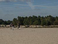 NL, Noord-Brabant, Heusden, Loonse en Drunense Duinen 67, Saxifraga-Jan van der Straaten