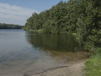 NL, Noord-Brabant, Heusden, Roeivijver Drunen 2, Saxifraga-Jan van der Straaten