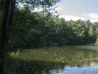 NL, Noord-Brabant, Heusden, Roeivijver Drunen 4, Saxifraga-Jan van der Straaten