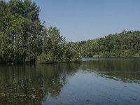 NL, Noord-Brabant, Heusden, Roeivijver Drunen 5, Saxifraga-Jan van der Straaten