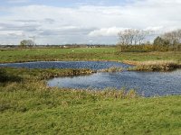 NL, Noord-Brabant, Heusden, Zeedijk 12, Saxifraga-Jan van der Straaten