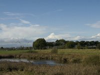 NL, Noord-Brabant, Heusden, Zeedijk 16, Saxifraga-Jan van der Straaten