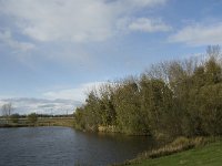 NL, Noord-Brabant, Heusden, Zeedijk 2, Saxifraga-Jan van der Straaten