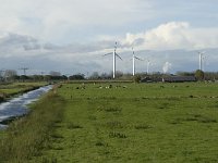 NL, Noord-Brabant, Heusden, Zeedijk 20, Saxifraga-Jan van der Straaten