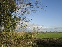 NL, Noord-Brabant, Heusden, de Sompen en Zooislagen 13, Saxifraga-Jan van der Straaten