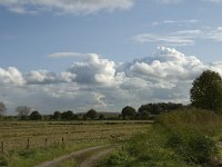 NL, Noord-Brabant, Heusden, de Sompen en Zooislagen 20, Saxifraga-Jan van der Straaten