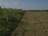 NL, Noord-Brabant, Hilvarenbeek, Den Opslag 6 Saxifraga-Jan van der Straaten