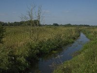 NL, Noord-Brabant, Hilvarenbeek, Reusel 3, Saxifraga-Jan van der Straaten