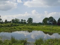 NL, Noord-Brabant, Hilvarenbeek, Spruitenstroompje 32, Saxifraga-Jan van der Straaten