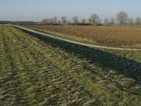 NL, Noord-Brabant, Land van Cuijk, Beerse Overlaat 10, Saxifraga-Jan van der Straaten