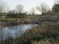 NL, Noord-Brabant, Land van Cuijk, Beerse Overlaat 14, Saxifraga-Jan van der Straaten