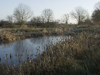 NL, Noord-Brabant, Land van Cuijk, Beerse Overlaat 15, Saxifraga-Jan van der Straaten