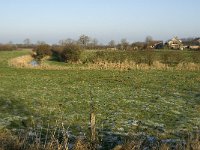 NL, Noord-Brabant, Land van Cuijk, Beerse Overlaat 19, Saxifraga-Jan van der Straaten