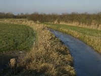 NL, Noord-Brabant, Land van Cuijk, Beerse Overlaat 22, Saxifraga-Jan van der Straaten