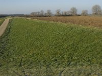 NL, Noord-Brabant, Land van Cuijk, Beerse Overlaat 8, Saxifraga-Jan van der Straaten