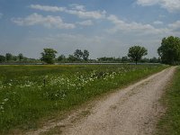 NL, Noord-Brabant, Land van Cuijk, De Vilt 1, Saxifraga-Jan van der Straaten