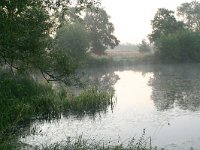 NL, Noord-Brabant, Land van Cuijk, Escharen 6, Saxifraga-Hans Boll