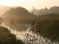 NL, Noord-Brabant, Land van Cuijk, Escharen 7, Saxifraga-Hans Boll