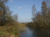 NL, Noord-Brabant, Land van Cuijk, Graafsche Raam 10, Saxifraga-Jan van der Straaten