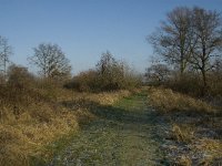 NL, Noord-Brabant, Land van Cuijk, Graafsche Raam 3, Saxifraga-Jan van der Straaten