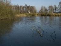 NL, Noord-Brabant, Land van Cuijk, Graafsche Raam 7, Saxifraga-Jan van der Straaten