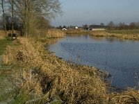 NL, Noord-Brabant, Land van Cuijk, Graafsche Raam 8, Saxifraga-Jan van der Straaten