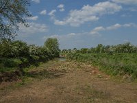 NL, Noord-Brabant, Land van Cuijk, Koude Oord 19, Saxifraga-Jan van der Straaten