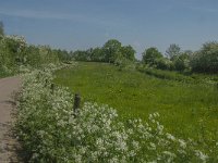 NL, Noord-Brabant, Land van Cuijk, Koude Oord 3, Saxifraga-Jan van der Straaten