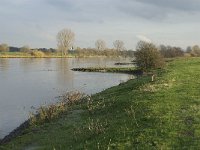 NL, Noord-Brabant, Land van Cuijk, Maas 10, Saxifraga-Jan van der Straaten