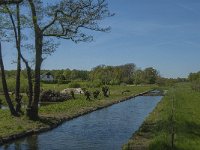 NL, Noord-Brabant, Land van Cuijk, Molenbeek 1, Saxifraga-Marijke Verhagen